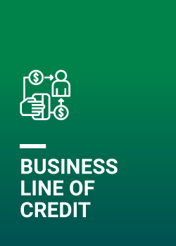 Business Line of Credit 2